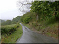 Lovely lane near Llanerchcoedlan Wells, Breconshire