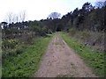 Track to Burrow Gap at Holkham