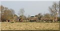 Old farm Buildings, Brookland