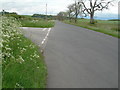 Minor road near Balmaghie