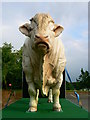 Promotional bull, Frankley Services, M5 southbound, near Birmingham