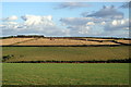 Harvest, Lower Barton