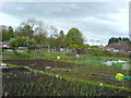 Allotments