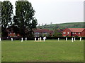 Cricket on the Recreational Field