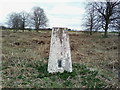 Towthorpe  trig point