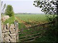 The Macmillan Way above Hampnett