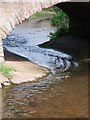 Cannington Brook