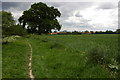 Riverbank footpath near Hereford