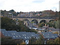 Durham railway viaduct