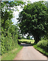 Country lane at Weston under Penyard