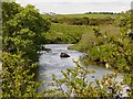 The Tarf Water