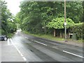 Norwich Road, Salhouse