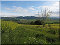 Strathearn from Laurencefield