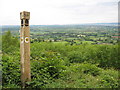 Stinchcombe Hill, near Dursley