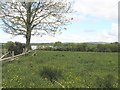 Cordwood, Boa Island