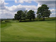 SU4827 : Green, Hockley Golf Club by Jim Champion