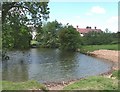 Pond at Lower Woodhouse