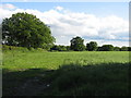 Footpath to Charlton Musgrove