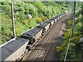 NT7967 : Coal train by Callum Black