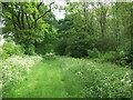 Bridleway  beside Badsaddle Wood.