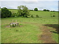 Water trough in cow field.