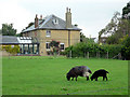 Stone House, Sandhurst