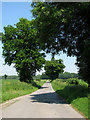 Scottow Row, approaching Swanton Abbott