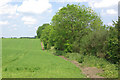 Farmland north of Olney