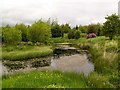 Ornamental pond, Greenhead