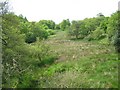 Valley above Wigginstall Farms