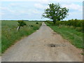 Track across farmland, north of Elston