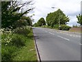 Humberston Avenue, Humberston