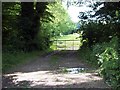 Field gate near Gorcombe Farm