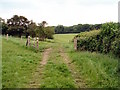 Gate on bridleway