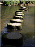 SX8156 : Stepping stones, Bow Creek by Derek Harper