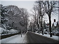 Avenue Road in the snow