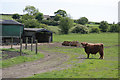 SK0351 : Springfields pedigree Highland cattle by Alan Murray-Rust