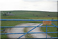 The lane to Royledge Farm