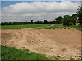 Field by the roadside