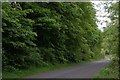 The Tardree Road near Kells and Connor