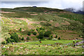 V7588 : Horses and sheep beneath Derryfanga ridge by Espresso Addict
