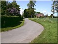 Cottages and lane