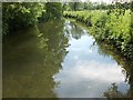 The River Avon, Milston