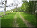 NT9405 : Green Lane near Well House Farm, Harbottle by Andy Gryce