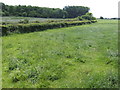 View towards Innox Wood