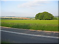 South Wiltshire Downs