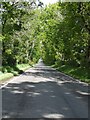 The Dunecht to Kemnay road through Miss Bristow