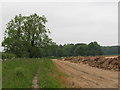 looking towards Bunkers Plantation