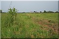 Bridleway to Pudnell Farm