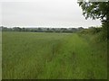 East towards The Vale, Stibbard